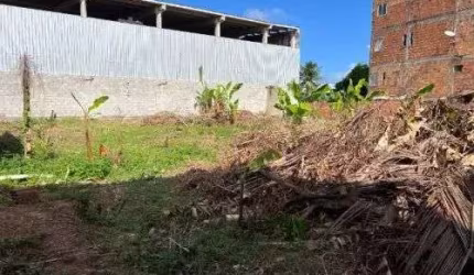 Terreno à venda, 15000 m² por R$ 350.000,00 - São Cristóvão - Salvador/BA
