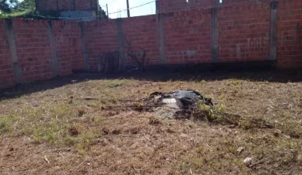 Terreno à venda, 375 m² por R$ 500.000,00 - Nova Brasília - Salvador/BA