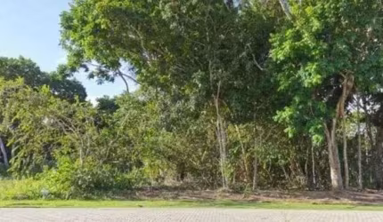 Terreno à venda, 600 m² por R$ 1.150.000,00 - Praia do Forte - Mata de São João/BA