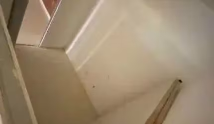 Loja para alugar, 20 m² por R$ 1.200,00/mês - Parque Bela Vista - Salvador/BA