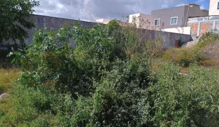 Terreno à venda, 250 m² por R$ 295.000,00 - Praia do Flamengo - Salvador/BA