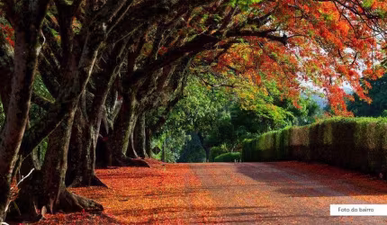 Terreno à venda no Ipê Rosa, Ribeirão Preto, SP,