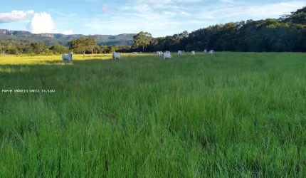 Chácara para Venda em Rio Negro, Rural, 4 dormitórios, 1 suíte, 3 banheiros, 10 vagas