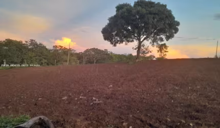 Chácara para Venda em Camapuã, Rural, 2 dormitórios, 1 banheiro, 10 vagas