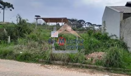 Terreno - Jardim Zelinda - Rio Negro