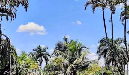 Sítio para Venda em Jaguariúna, Pinhalzinho, 3 dormitórios, 3 banheiros, 4 vagas