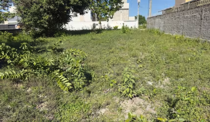 Vendo 2 lotes de 468m2 no Portal do Sol
