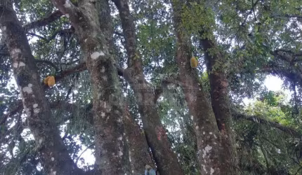 Ampla Propriedade Urbana em Paranaguá