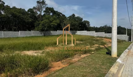 Real Park II - Terreno à venda, 300 m² - Vila Oliveira - Mogi das Cruzes/SP
