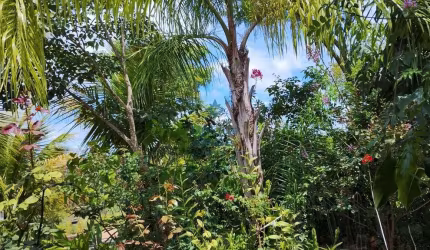 Sítio à venda 2 Quartos, 1 Suite, 700M², são jose de almeida, Jaboticatubas - MG
