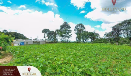 Chácara com estufas de morango e 3 dormitórios à venda, 16707 m² por R$ 1.300.000 - Area Rural - São José dos Pinhais/PR