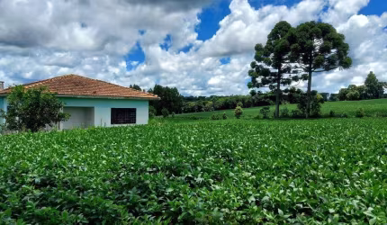 Lapa, 24 alqueires, 58 hectares ou. 580.800m², à 3 Km do asfalto, cercada, casa sede, galpão , plan