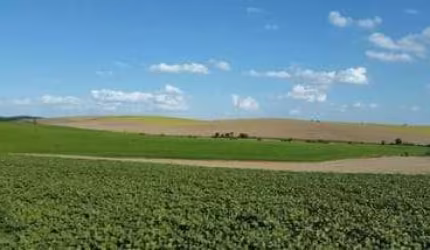 Lapa, Fazenda 471,90 hectares,195 alqueires ou 4.719.000m²,plantando 110 alqueires, à venda, Paraná
