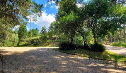 Campo Largo, Ferraria, chácara 51.425m², na rotatória EcoUmbrella, acesso asfalto, esquina com Rua