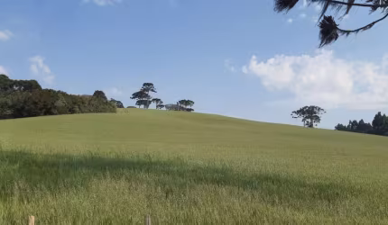 Lapa, Sede Centenária, 45 alqueires ,110,31 hectares , planta 16 alqueires, à venda, Mariental, PR