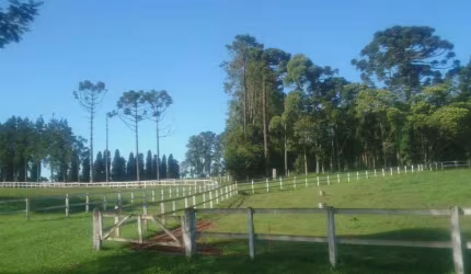São José dos Pinhais, Haras cinematográfico,171.520m² , 17 Há, 11 piquetes, 20 baias e 20 cocheiras