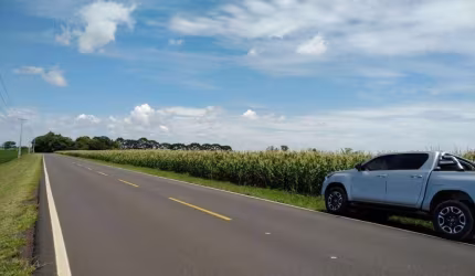 Porto Amazonas, Fazenda de soja arrenda, plantando as 100 alqueires, área total de 2662000m², à ven