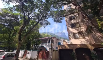 Vendo preciosidade no Jardim Botânico Rio de Janeiro Rua Conde Afonso Celso