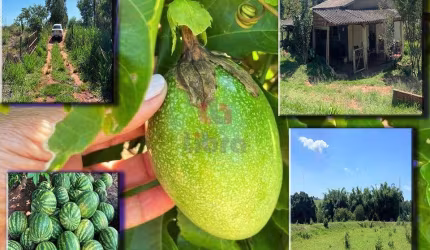SÍTIO A VENDA EM ALTO PARANÁ