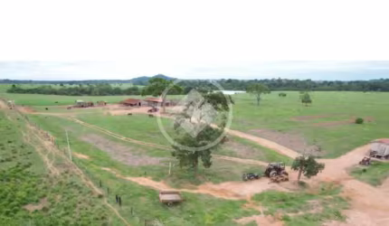 VENDE SE FAZENDA EM RONDOLANDIA MT ▶ 2.500 HECTARES ▶ *1.356  HECTARES ABERTO * ▶ CURRAL REDONDO  ▶ TRONCO ▶ *12 DIVISÃO DE PASTO * ▶ BARRACÃO TRATOR ▶ PISTA DE AVIÃO  1.000 MT ▶ DEPÓSITO DE SAL ▶