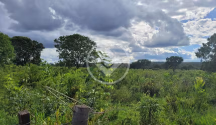 ÁREA DE 3.500 HECTARES EM RIBAS DO RIO PARDO codigo: 109099