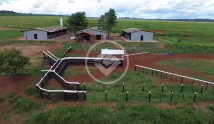 Haras Completo com Ótima Localização e Estrutura. codigo: 108926