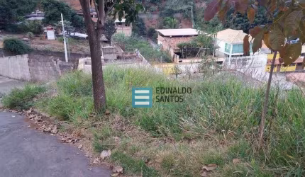 Terreno Residencial à venda, Nova Benfica, Juiz de Fora - TE0100.