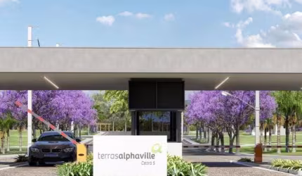 Terras Alphaville 5