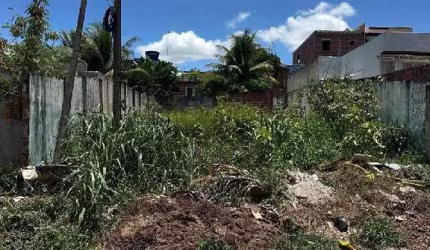 Casa 66.26m², 2 dormitório(s),  vaga(s) na garagem - BAIRRO NOVO, CARPINA PE