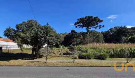 TERRENO COM ÁREA TOTAL 7.876,90m², ZR-2 - SÃO BRAZ - REF 5802-