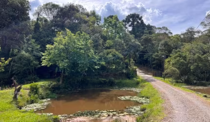 Chácara para venda possui 8000 m² - Casa com 80m² - Serra Alta - São Bento do Sul - SC