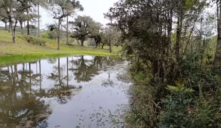 Imóvel para venda com 24000 m² em Mato Preto - São Bento do Sul - SC