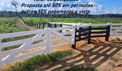 Fazenda a venda com 252.649.600 m² - Trairão - Pará - Porteira Fechada.
