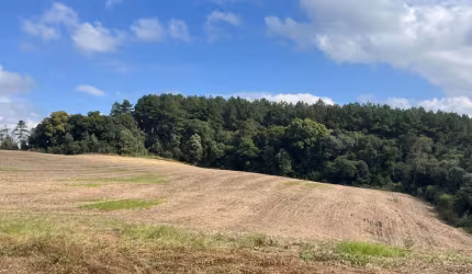 Terreno com 10, 65 alqueires - Ótimo para plantio - Lençol - São Bento do Sul - S.C.