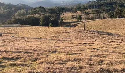 Terreno com 264000 m² em Rio Vermelho Povoado - São Bento do Sul - SC
