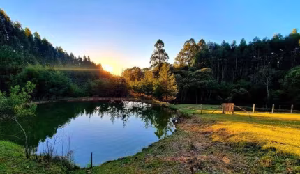 Chácara para venda com 48.000 m² - 2 Casas - 4 Tanques - Rio Negrinho - Santa Catarina