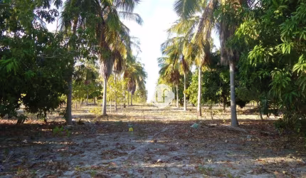 TERRENO C/ FRENTE DE 1061,00 METROS CE -040