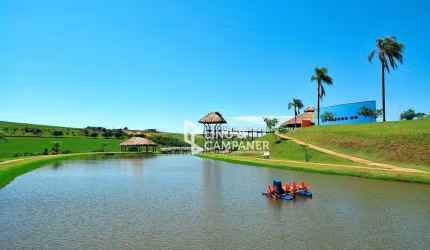 Terreno à venda, 3373 m² por R$ 750.000,00 - Ecovillas do Lago - Sertanópolis/PR