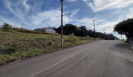 Terreno para Venda em Nova Bassano, Centro