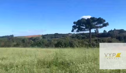 Área em Contenda para morar  e investir