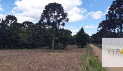 Terreno para construir em Piraquara