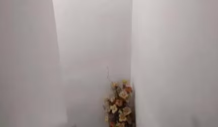 Sobrado para Venda em São Paulo, Jardim Vila Formosa, 3 dormitórios, 2 banheiros, 2 vagas