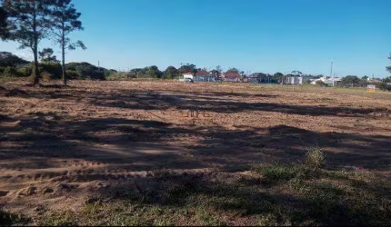 Ótimo lote de terra em Arroio Teixeira