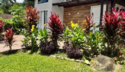 Chácara / sítio à venda em América de Cima, Morretes , 170 m2 por R$ 1.100.000