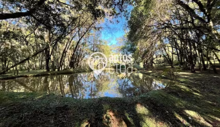 Chácara / sítio com 3 quartos à venda na Estrada Campo Novo, 33, Campo Novo, Campo Magro por R$ 750.000