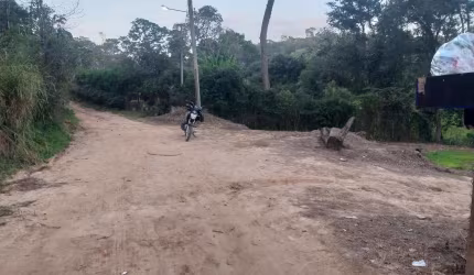 TERRENO COM NASCENTE