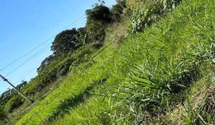 Terreno à venda, 216 m² por R$ 60.000,00 - Avenida Parque - Bady Bassitt/SP