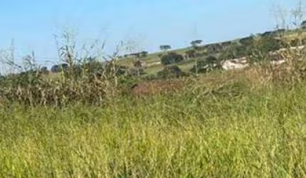 Terreno à venda, 200 m² por R$ 120.000,00 - Maisparque Rio Preto - São José do Rio Preto/SP