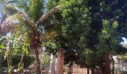 Chácara com 3 dormitórios à venda, 1000 m² por R$ 550.000,00 - Estância São Carlos - Guapiaçu/SP