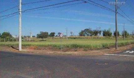 Terreno para alugar, 1800 m² por R$ 20.000,00/mês - Jardim Moysés Miguel Haddad - São José do Rio Preto/SP